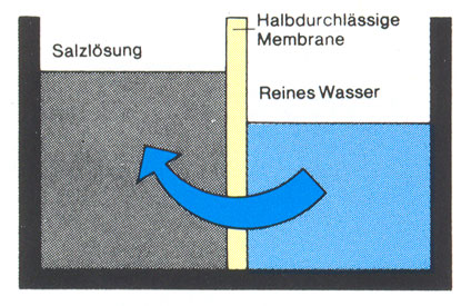 Natürliche Osmose